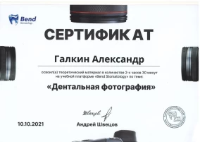 Александр Дмитриевич Галкин Сертификат «Дентальная фотография»