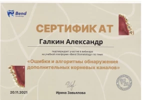 Александр Дмитриевич Галкин Сертификат вебинара «Ошибки и алгоритмы обнаружения дополнительных корневых каналов»