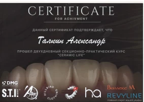 Александр Дмитриевич Галкин Сертификат СЕКЦИОННО-ПРАКТИЧЕСКИЙ КУРС CERAMIC LIFE